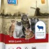 Carocroc Kat Lam - 7 Kg Met Gratis Catessy Stick -Kattenspeelgoed Winkel 719x1200
