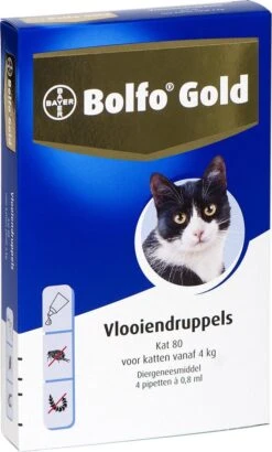 Bayer Bolfo Gold 80 Anti Vlooienmiddel - Kat - > 4 Kg - 4 Pipetten -Kattenspeelgoed Winkel 723x1200