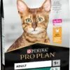 Pro Plan Adult Renal Plus - Katten Droogvoer - Kip - 10 Kg -Kattenspeelgoed Winkel 725x1200