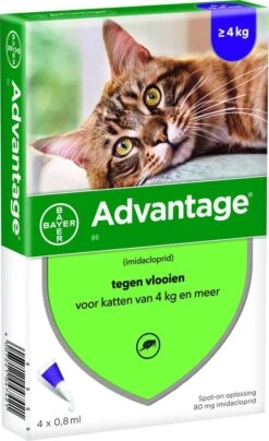 Bayer Anti Vlooienmiddel Advantage 80 > 4 Kg - 4 X 0,8 Ml -Kattenspeelgoed Winkel 734x1200 1