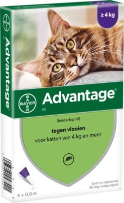 Bayer Anti Vlooienmiddel Advantage 80 > 4 Kg - 4 X 0,8 Ml -Kattenspeelgoed Winkel 734x1200