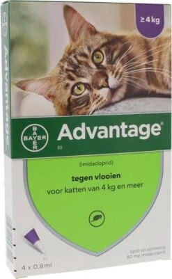 Bayer Anti Vlooienmiddel Advantage 80 > 4 Kg - 4 X 0,8 Ml -Kattenspeelgoed Winkel 739x1200