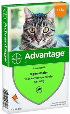 Bayer Anti Vlooienmiddel Advantage 80 > 4 Kg - 4 X 0,8 Ml -Kattenspeelgoed Winkel 744x1200