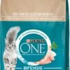 PURINA ONE Droog Kattenvoer Sensitive Met Kalkoen & Rijst, Adult, 2.8 Kg -Kattenspeelgoed Winkel 761x1200