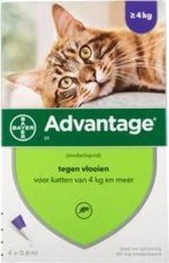 Advantage 80 Vlooiendruppelsl Kat Vanaf 4 Kg - 4 Pipetten -Kattenspeelgoed Winkel 773x1200