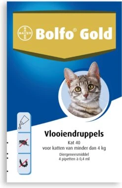 Bayer Bolfo Gold 40 Anti Vlooienmiddel - Kat - 0 Tot 4 Kg - 4 Pipetten -Kattenspeelgoed Winkel 780x1200