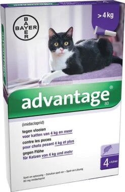 Bayer Anti Vlooienmiddel Advantage 80 > 4 Kg - 4 X 0,8 Ml -Kattenspeelgoed Winkel 783x1200 1