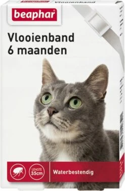 Beaphar Vlooienband - Wit - 1 Stuk -Kattenspeelgoed Winkel 784x1200