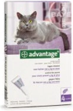Bayer Anti Vlooienmiddel Advantage 80 > 4 Kg - 4 X 0,8 Ml -Kattenspeelgoed Winkel 792x1200