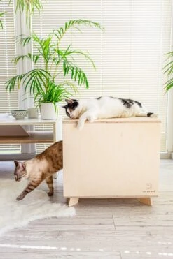Catandwood Kattenhuis - Kattenbakcontainer - Kattenbak Ombouw - Hout -Kattenspeelgoed Winkel 799x1200 11