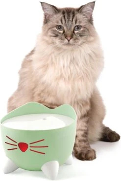 Catit Pixi Fountain - Kattendrinkbak - 20x20x16 Cm Groen -Kattenspeelgoed Winkel 800x1200 4
