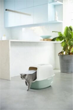 Rotho Bailey - Kattenbak - Groen/Zand -Kattenspeelgoed Winkel 800x1200 6