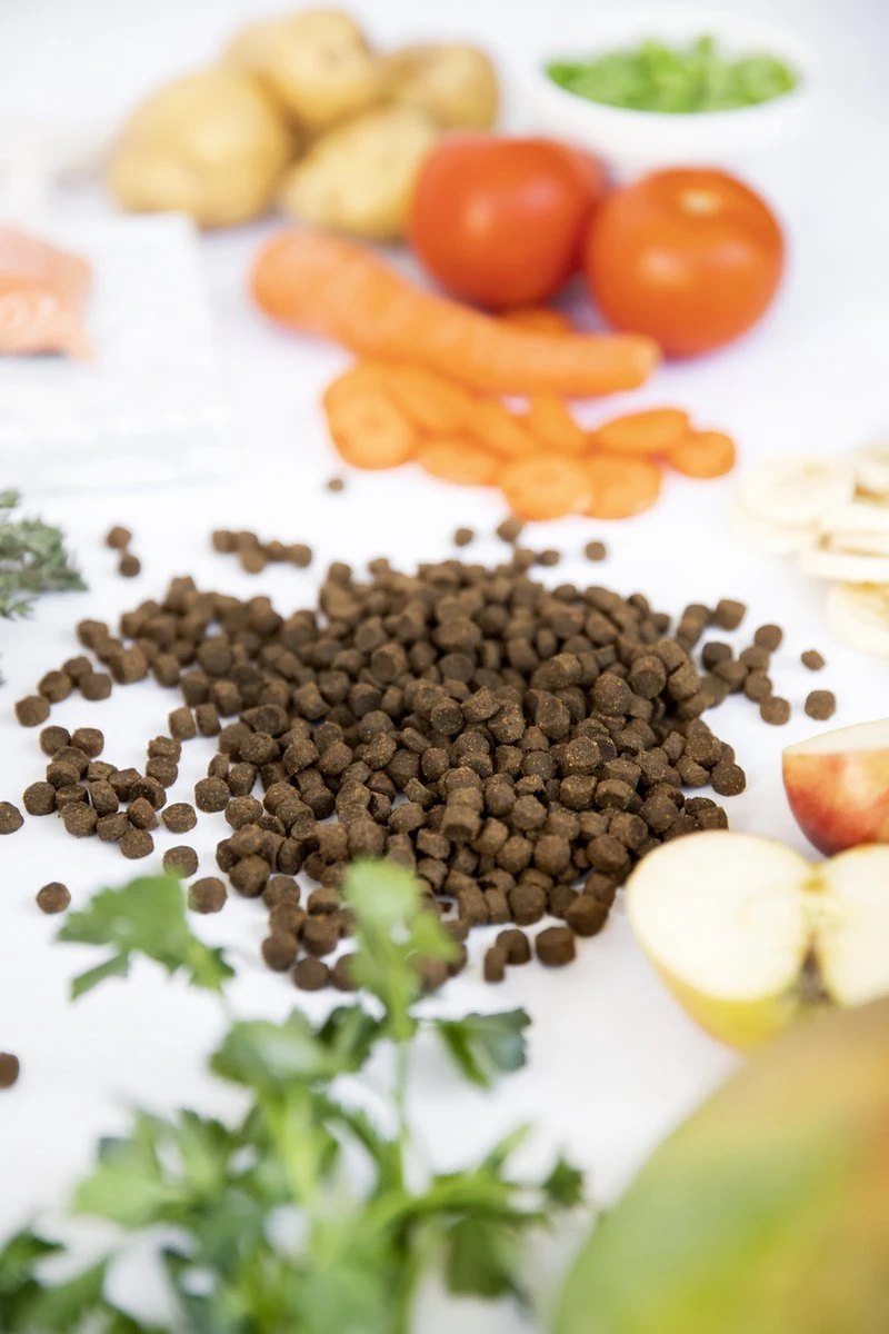 Kivo Petfood Kattenbrokken Verse Zalm - 5 Kg - Graanvrij 6 Kivo Petfood Kattenbrokken Verse Zalm - 5 Kg - Graanvrij - Afbeelding 4