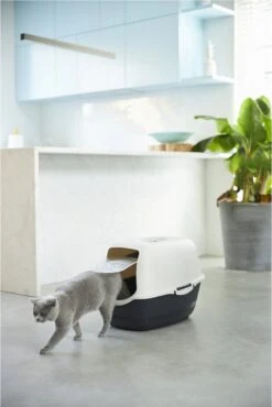 Rotho Bailey - Kattenbak - Zwart/Zand -Kattenspeelgoed Winkel 801x1200 1