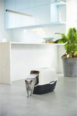 Rotho Bailey - Kattenbak - Zwart/Zand -Kattenspeelgoed Winkel 801x1200 2