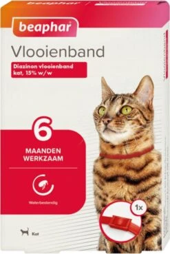Beaphar Vlooienband Kat - Rood - 1 Stuk -Kattenspeelgoed Winkel 804x1200 1