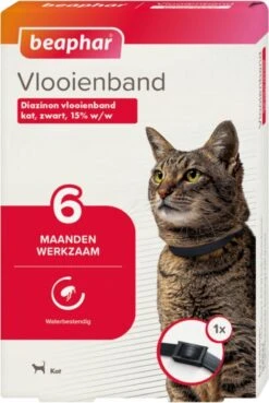 Beaphar Vlooienband Kat - Vlooienbestrijding - Zwart -Kattenspeelgoed Winkel 804x1200