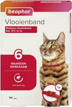 Beaphar Vlooienband Kat - Rood - 1 Stuk -Kattenspeelgoed Winkel 807x1200 1