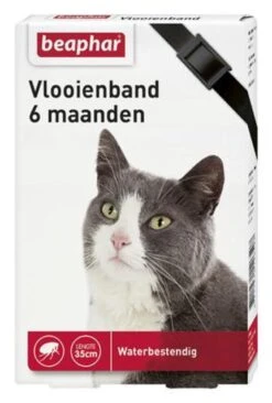 Beaphar Vlooienband Kat - Vlooienbestrijding - Zwart -Kattenspeelgoed Winkel 810x1200