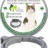 Teken- En Vlooienband Voor Katten PLUS - Natuurlijk Middel Tegen Vlooien En Teken - 100% Natuurlijk - 38,5 CM - Tot 8 Maand Werkzaam - Biologisch -Kattenspeelgoed Winkel 819x1200