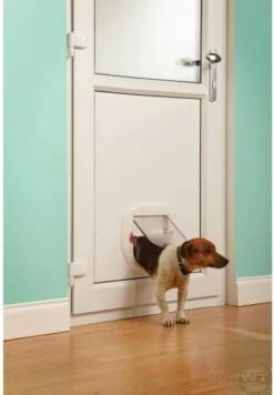 Petsafe Kattenluik - Grote Kat - Transparant -Kattenspeelgoed Winkel 832x1200 1