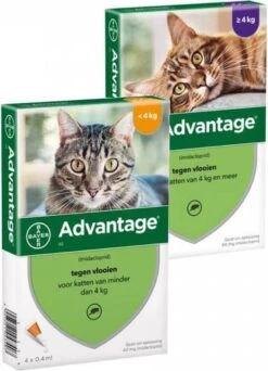 Bayer Anti Vlooienmiddel Advantage 80 > 4 Kg - 4 X 0,8 Ml -Kattenspeelgoed Winkel 866x1200
