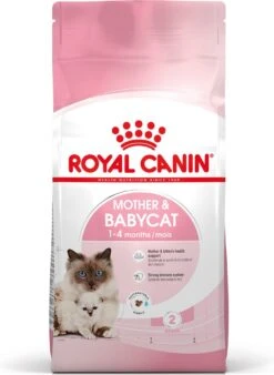Royal Canin Mother & Babycat - Kattenvoer - 4 Kg -Kattenspeelgoed Winkel 878x1200 1