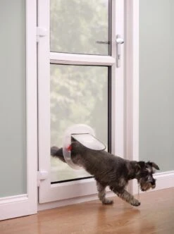 Petsafe Kattenluik - Grote Kat - Transparant -Kattenspeelgoed Winkel 893x1200 4