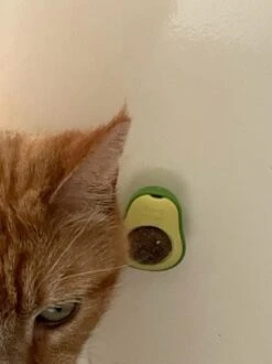 PerfectPlant - Kattenbal - Catnipbal - Avocado - Natuurlijk - Katten - Speelgoed - Catnip - Haarbal - Likken - Mint - Bal - Spelen - Slechte Adem 7 PerfectPlant - Kattenbal - Catnipbal - Avocado - Natuurlijk - Katten - Speelgoed - Catnip - Haarbal - Likken - Mint - Bal - Spelen - Slechte Adem -Kattenspeelgoed Winkel 899x1200 12