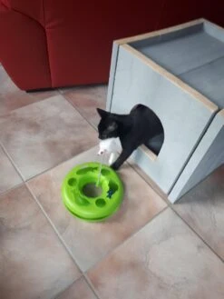 Bronneger Exclusive - Kattenhuis - XXL - Kattenbak Ombouw Kast - Kattenmand 22 Bronneger Exclusive - Kattenhuis - XXL - Kattenbak Ombouw Kast - Kattenmand -Kattenspeelgoed Winkel 900x1200 15