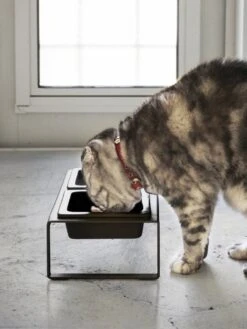 Yamazaki Eetbak - Voederbak Kat - Tweeledig - Zwart 18 Yamazaki Eetbak - Voederbak Kat - Tweeledig - Zwart -Kattenspeelgoed Winkel 901x1200 2