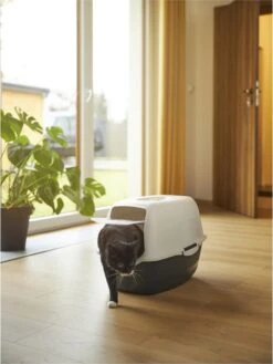 Rotho Bailey - Kattenbak - Zwart/Zand -Kattenspeelgoed Winkel 902x1200 2