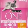 Purina ONE Junior - Kip/Granen - Kattenvoer - 800 G -Kattenspeelgoed Winkel 925x1200