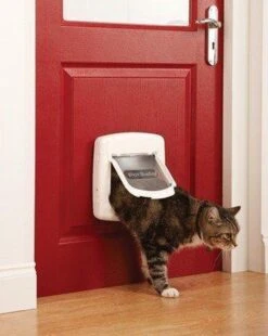 Petsafe Kattenluik 400 - Wit 32 Petsafe Kattenluik 400 - Wit -Kattenspeelgoed Winkel 955x1200