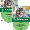 Bayer Advantage 40 Kat 4 Pip - Anti Vlooienmiddel - 2 X 0.4 Ml - 0 - 4 Kg -Kattenspeelgoed Winkel 965x1200 1