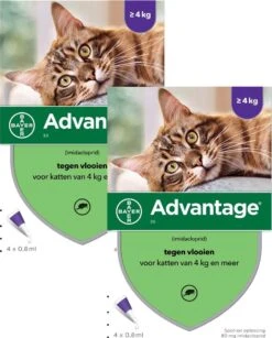 Bayer Advantage 80 Kat 4 Pip - Anti Vlooienmiddel - 2 X 0.8 Ml - > 4 Kg -Kattenspeelgoed Winkel 965x1200