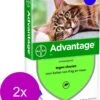 Bayer Advantage 80 Kat 4 Pip - Anti Vlooienmiddel - 2 X 0.8 Ml - > 4 Kg 2 Bayer Advantage 80 Kat 4 Pip - Anti Vlooienmiddel - 2 X 0.8 Ml - > 4 Kg -Kattenspeelgoed Winkel 968x1200