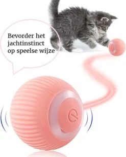 Otiume Slimme Katten Speeltje - Interactieve Zelf Rollende Bal Voor Katten - Kattenspeeltjes - USB Oplaadbaar- Turquoise -Kattenspeelgoed Winkel 968x1200 2