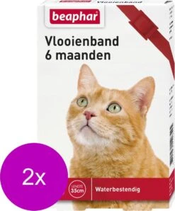 Beaphar Vlooienband 6 Maanden Kat 35 Cm - Anti Vlooienmiddel - 2 X Rood -Kattenspeelgoed Winkel 993x1200