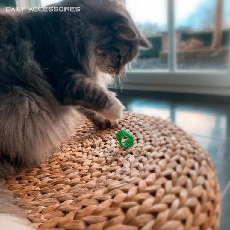 Kattenspeelgoed Winkel -Kattenspeelgoed Winkel 1200x1200 1083 768x768 1