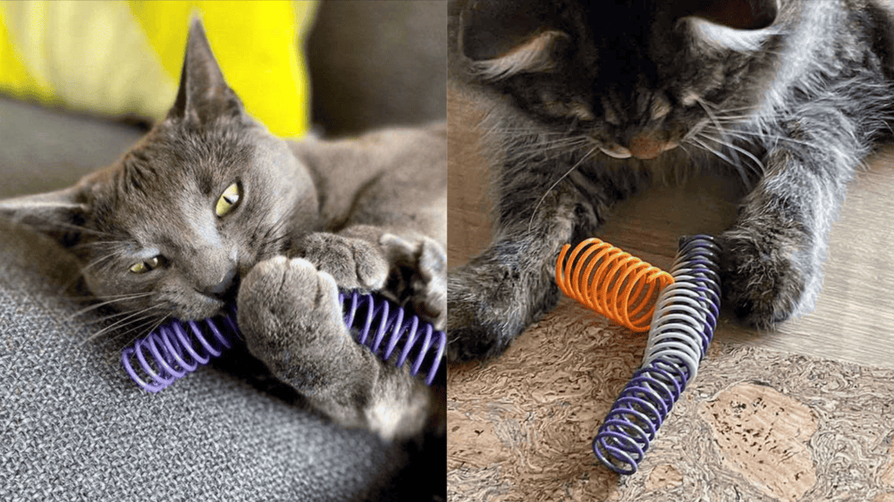 Kattenspeelgoed Winkel -Kattenspeelgoed Winkel BeautyPlus Collage 2025 08 03T09 54 21 1 1 1